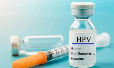 hpv vaccine.cancer vaccine,kinsr wolsn