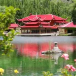 لڑكیوں كی كینسر ویكسین كتنے ممالك میں استعمال ہو رہی ہے،سوشل میڈیا پر پراپیگنڈہ كیوں ؟