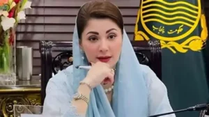 maryam nawaz punjab cabnit