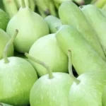 کس مد میں ملاں کے ضمیر خریدنا چاہتے ہو، بھاڑ میں جائے تمھارا فورتھ شیڈول ،فضل الرحمن