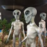 دنیا کرکٹ کے سابق کپتانوں نے عمران خان کے حق میں بڑی اپیل کر دی،خط ارسال