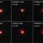 نورافتیحی پر اداکارہ گنگنا رناوت کی شدید تنقید