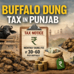 ٹرمپ نے فرانس کے صدر میکرون کو بیوی سے مار کھانے کے طعنے دئیے