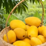 ماوزے تنگ کی "فور پیسٹ کمپین” جب چڑیاں مارنے سے کروڑوں انسان مر گئے